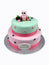 Owl in the flowers Cake