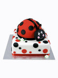 A Ladybird dot dirthday cake